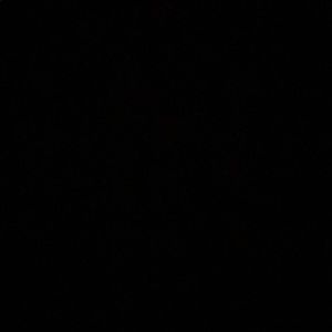 Meet your Posher, Annabel